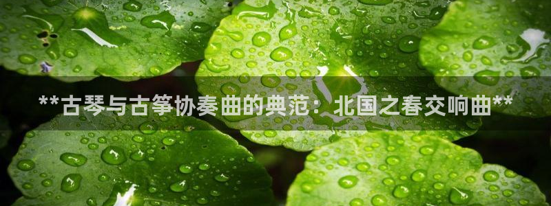 凯发k8娱乐平台能提现吗
