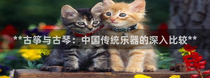凯发k8手机是正品吗多少钱