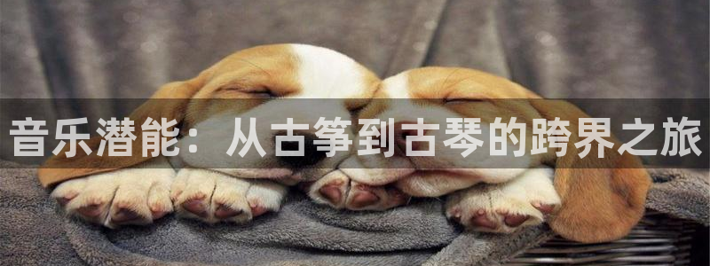 凯发k8娱乐是国内平台?