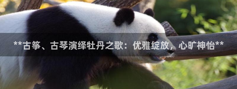 凯发官方首页