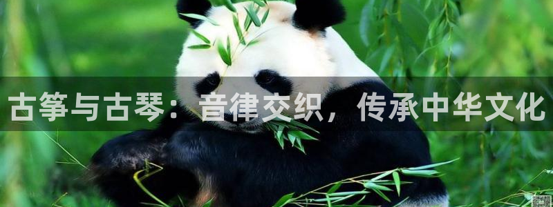 凯发旗舰客户端