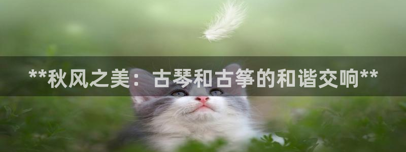 凯发官方网站下载