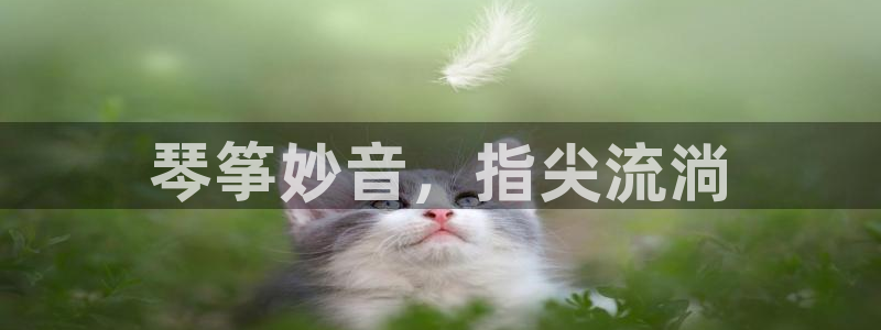凯发k81111国际真人版