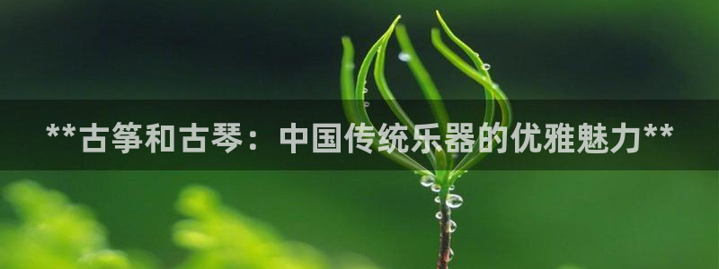 凯发网址多少