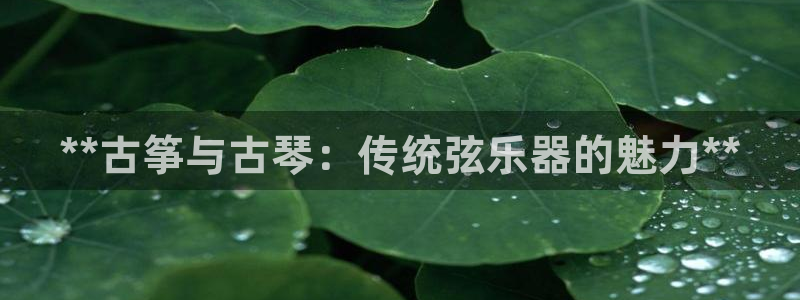 凯发国际是什么