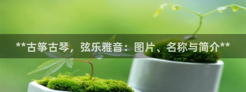 凯发平台开户