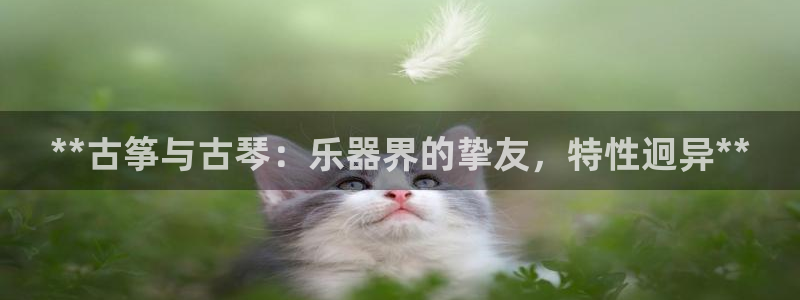 凯发k8娱乐|k808.vip