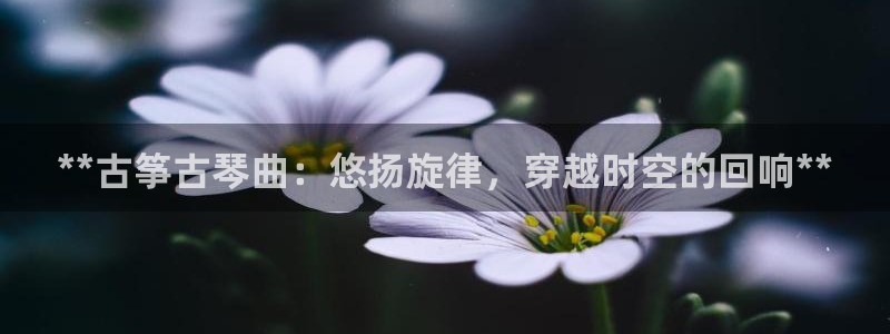 凯发网站是多少