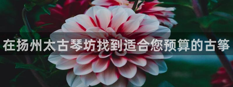 凯发k8娱乐旗舰app下载
