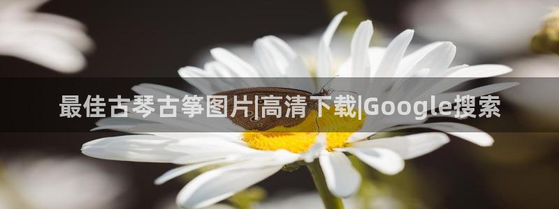 凯发k8ag85856