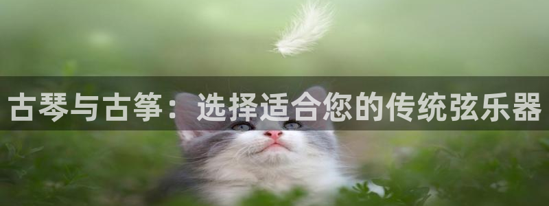凯发官网登录地址陆地