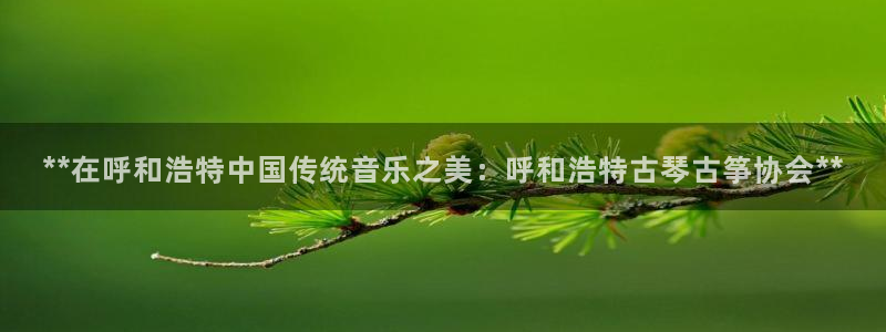 凯发娱乐官方网