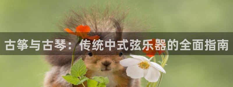凯发国际k8官网登录