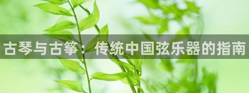 凯发平台风采
