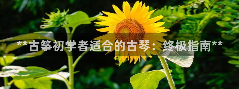 凯发手机官网客户端