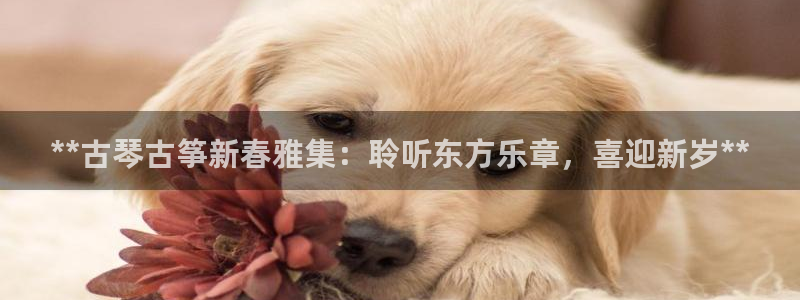 凯发k81111国际真人版