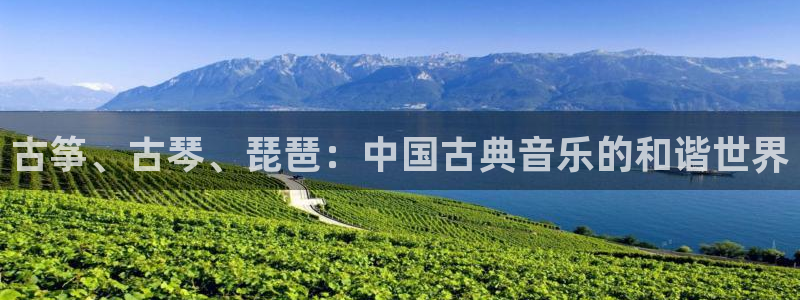 凯发网址多少