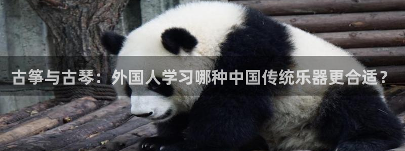 凯发网网站