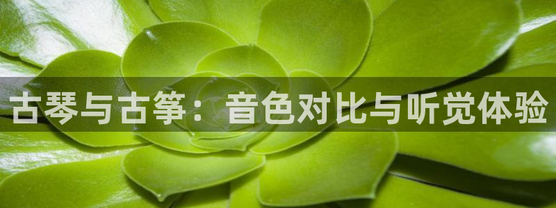 凯发旗舰厅