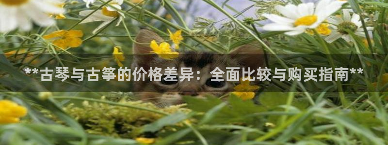 凯发平台敌7O777