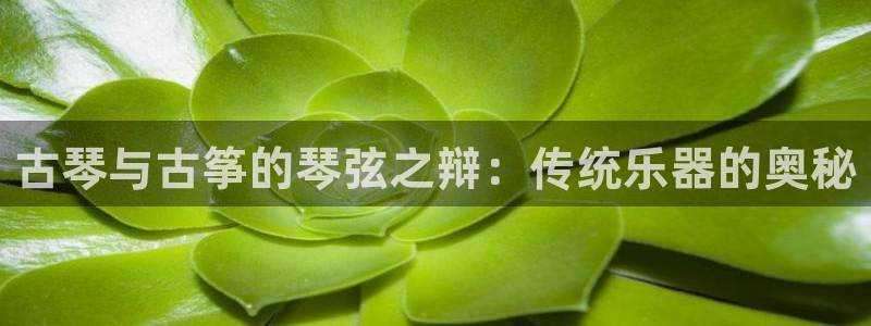 凯发k8手机网页