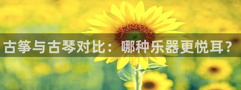 凯发官网地址