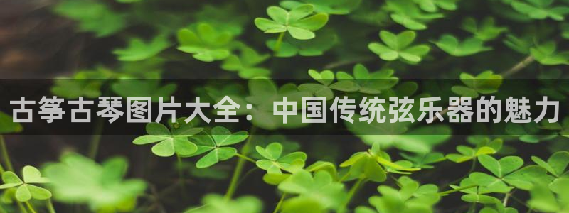 凯发k8国际娱乐版