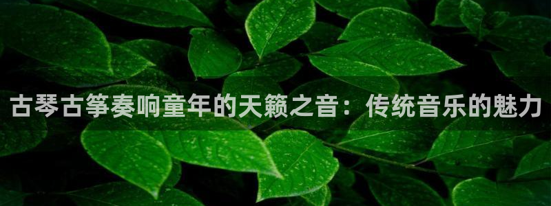 凯发娱网址是什么