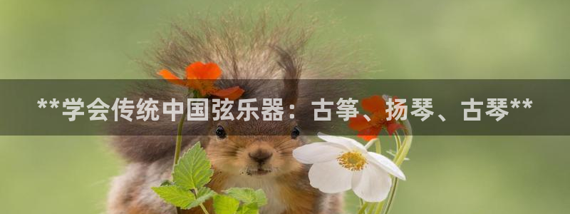 k8凯发是做什么的