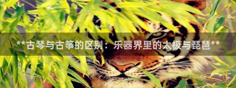 凯发旗舰客户端