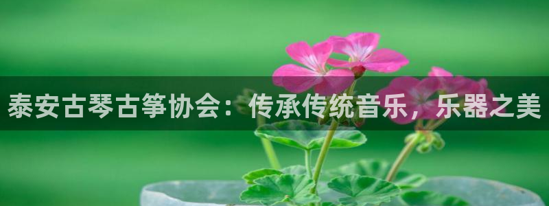 凯发k8国际版官网