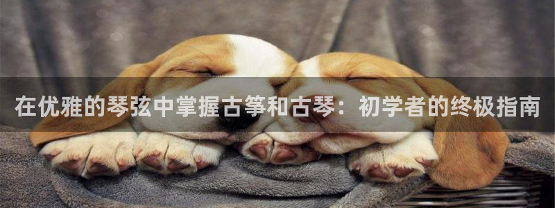 k8凯发官方找就送38