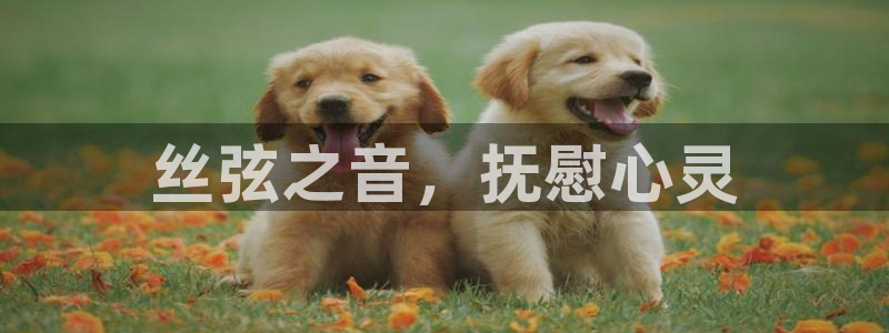 凯发平台8