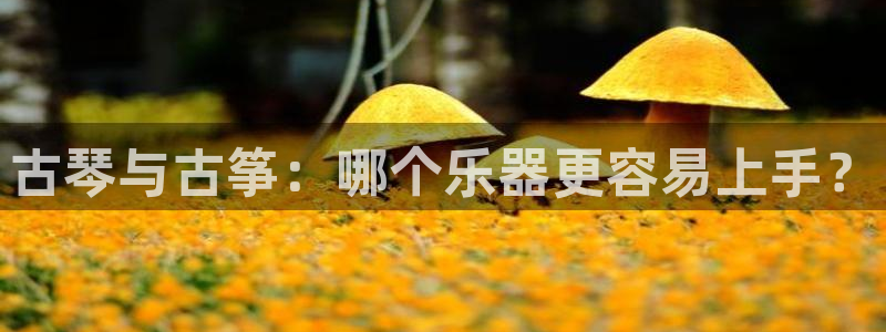 凯发k8娱乐官网最新版本