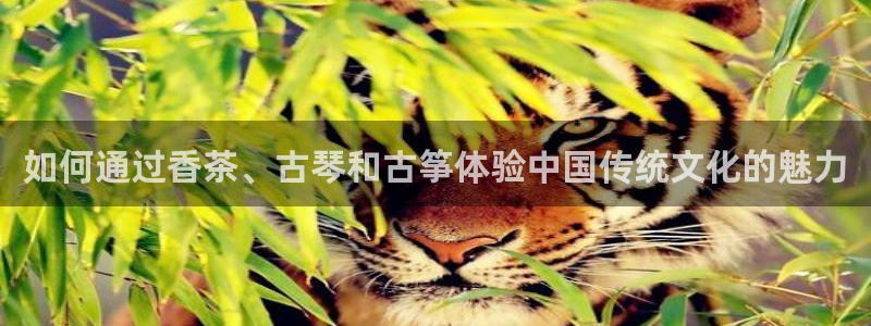 凯发网站是多少