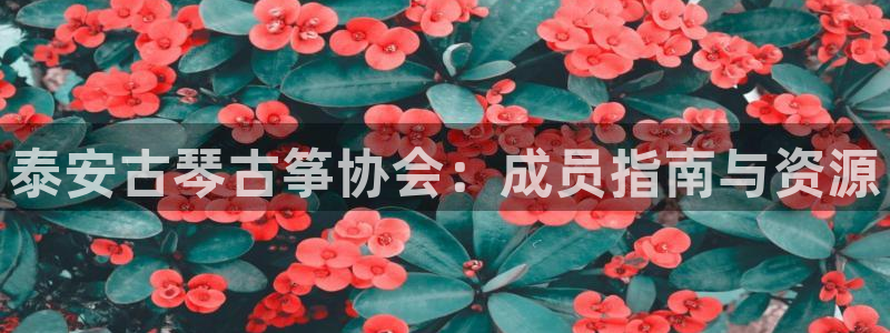 凯发k8娱乐官网地址app下载 | 首页