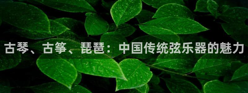 凯发k8官方旗舰店app