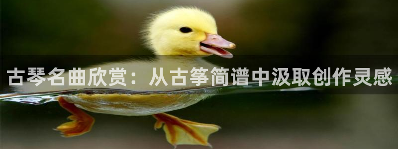 凯发国际平台官网
