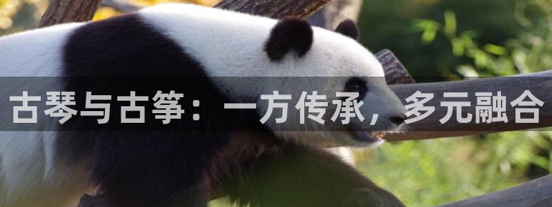 凯发官网地址