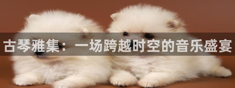 凯发官网网址多少