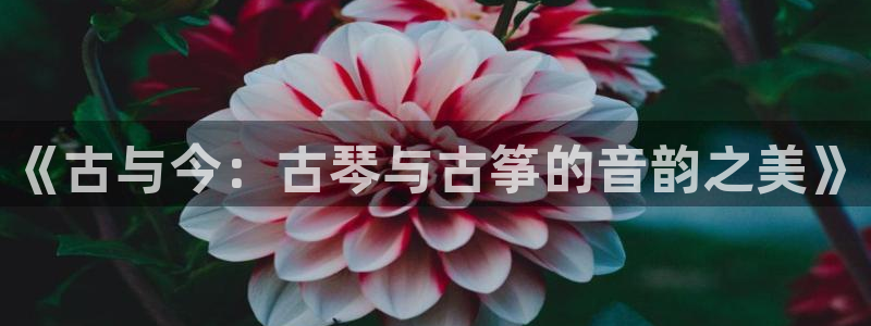 凯发k8旗舰厅手机下载