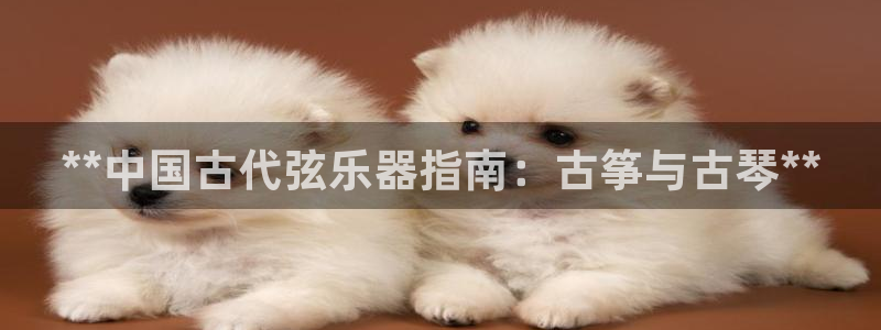 凯发k8娱乐是什么平台