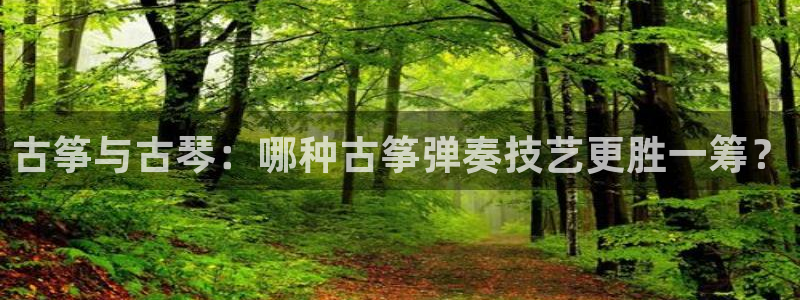 凯发国际平台首页：古筝与古琴：哪种古筝弹奏技艺更胜一筹？