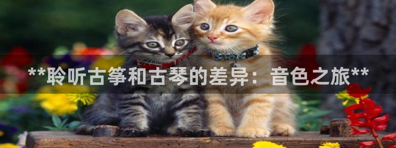 凯发线上客户端免费下载：**聆听古筝和古琴的差异：音色之旅*