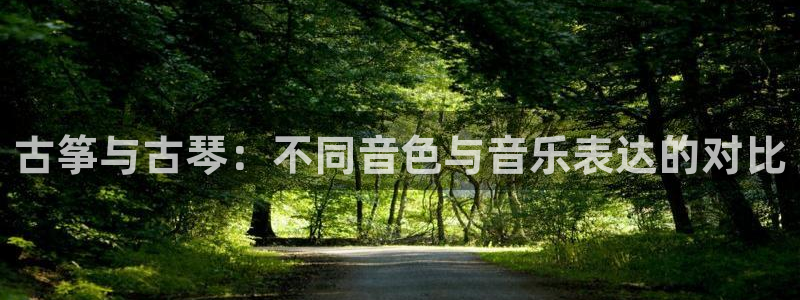凯发k8官网so选来就送38：古筝与古琴：不同音色与音乐表达