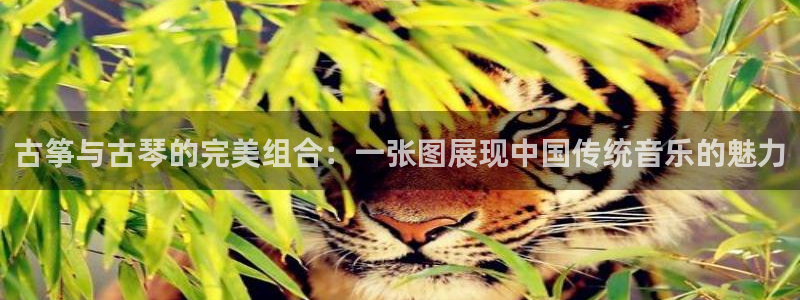 凯发k8娱乐手机版官网