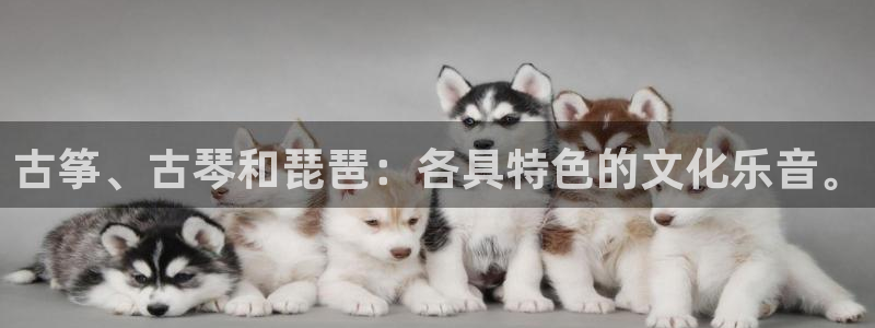 凯发k8娱乐旗舰app下载：古筝、古琴和琵琶：各具特色的文化