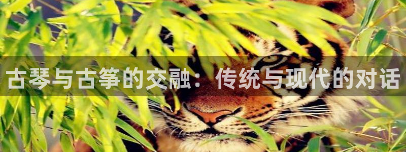 凯发k8娱乐旗舰app下载