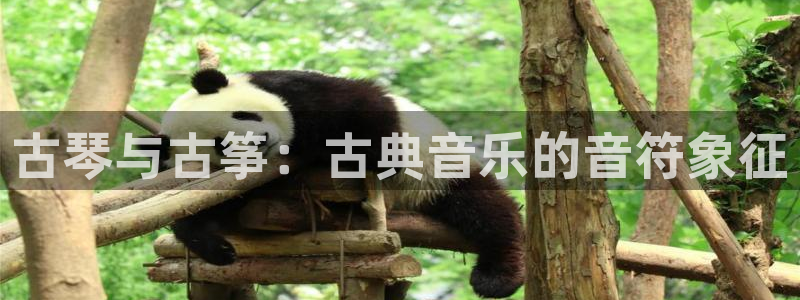 凯发国际娱乐官网k8