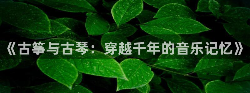 凯发网娱乐官网国际